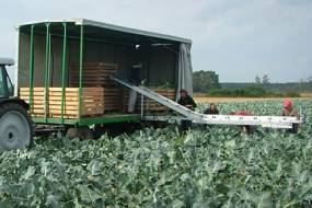 ТРАНСПАРТРЫ ДЛЯ ЗБІРАВАННЯ гародніны