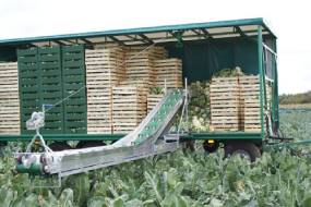 ТРАНСПАРТРЫ ДЛЯ ЗБІРАВАННЯ гародніны