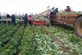 ТРАНСПАРТРЫ ДЛЯ ЗБІРАВАННЯ гародніны