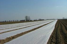 МАШЫНЫ для пакрыцця раслін