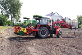 КАРУСЕЛЬНЫЯ САДЗІНЫ