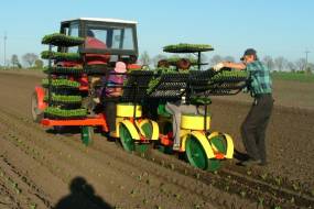 КАРУСЕЛЬНЫЯ САДЗІНЫ