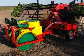 КАРУСЕЛЬНЫЯ САДЗІНЫ