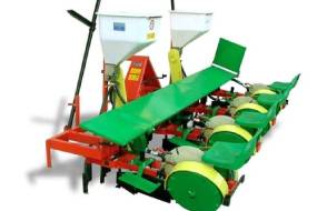 ДИСКАВЫЯ СЯДЗІ