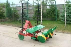 ДИСКАВЫЯ СЯДЗІ