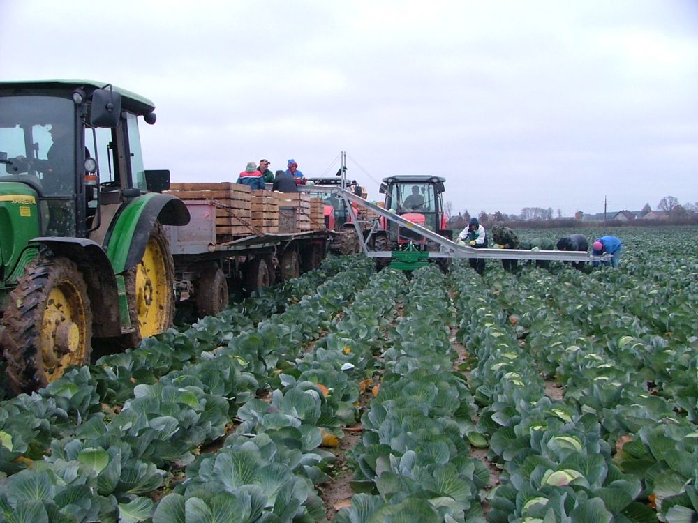 ТРАНСПАРТРЫ ДЛЯ ЗБІРАВАННЯ гародніны