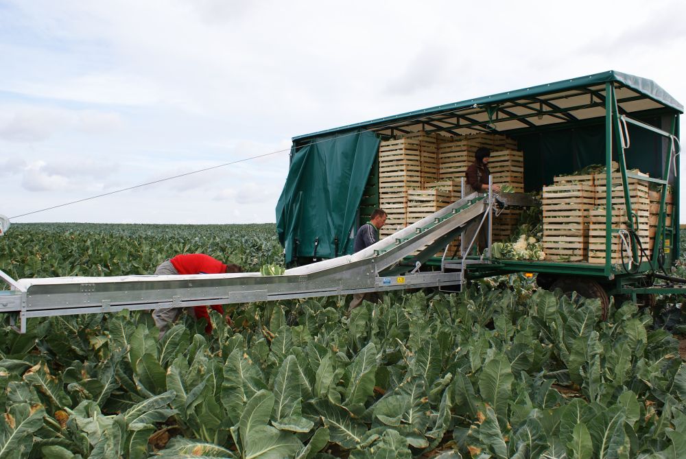 ТРАНСПАРТРЫ ДЛЯ ЗБІРАВАННЯ гародніны